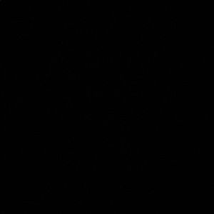 Meet your Posher, Tykeiah